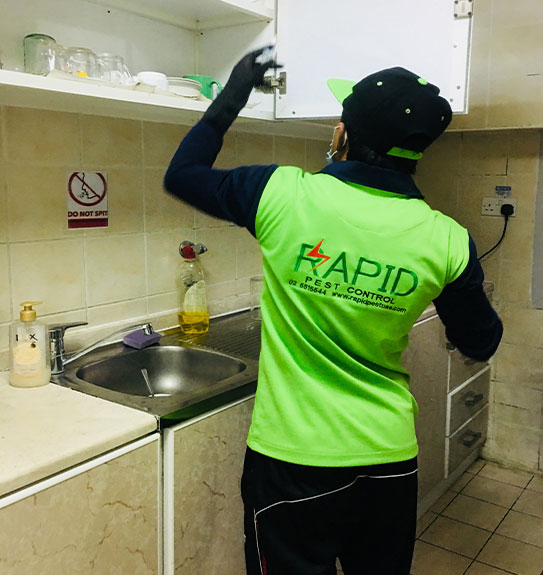 Bird Control Abu Dhabi | Bird Control Services Abu Dhabi