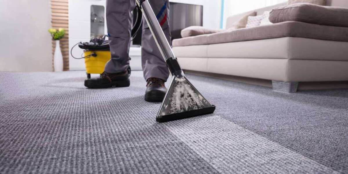 How Carpet Cleaning Services Shield Your Beautiful Floo