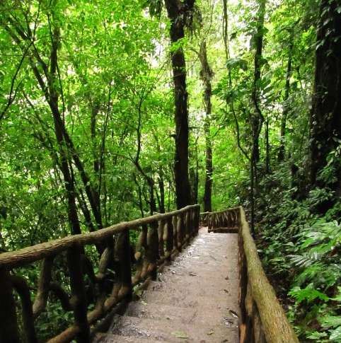  The volcano is part of the larger Tenorio-Miravalles Protected Zone, which protects diverse ecosystems, including cloud forests, rainforests, and montane forests.