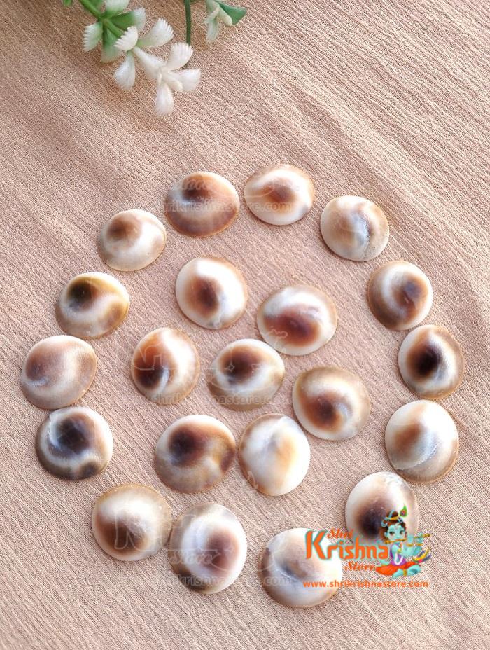 Gomti Chakra Gomati Chakra (21 Pcs) Small Size Natural