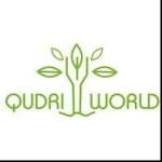 Qudri World
