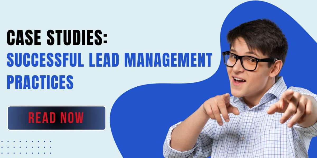 Case Studies: Successful Lead Management Practices