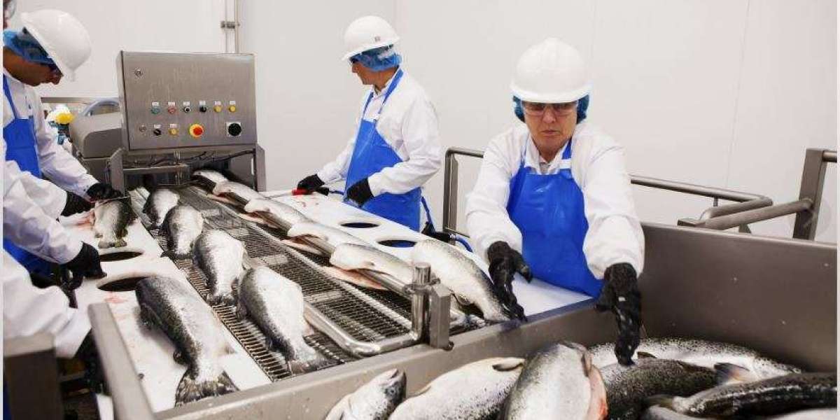 Fish Processing Market: Forecast and Future Prospects