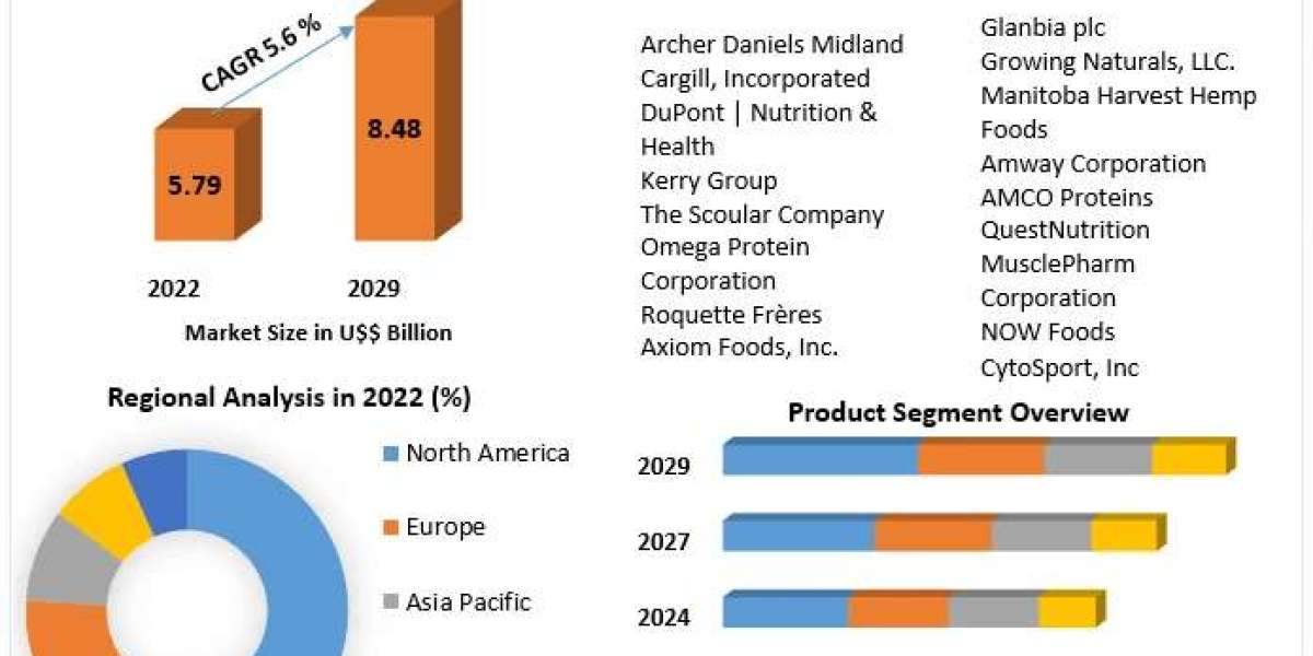 Plant-Based Protein Supplements Market Analysis, Extent, Core Elements, and Future Directions | 2029