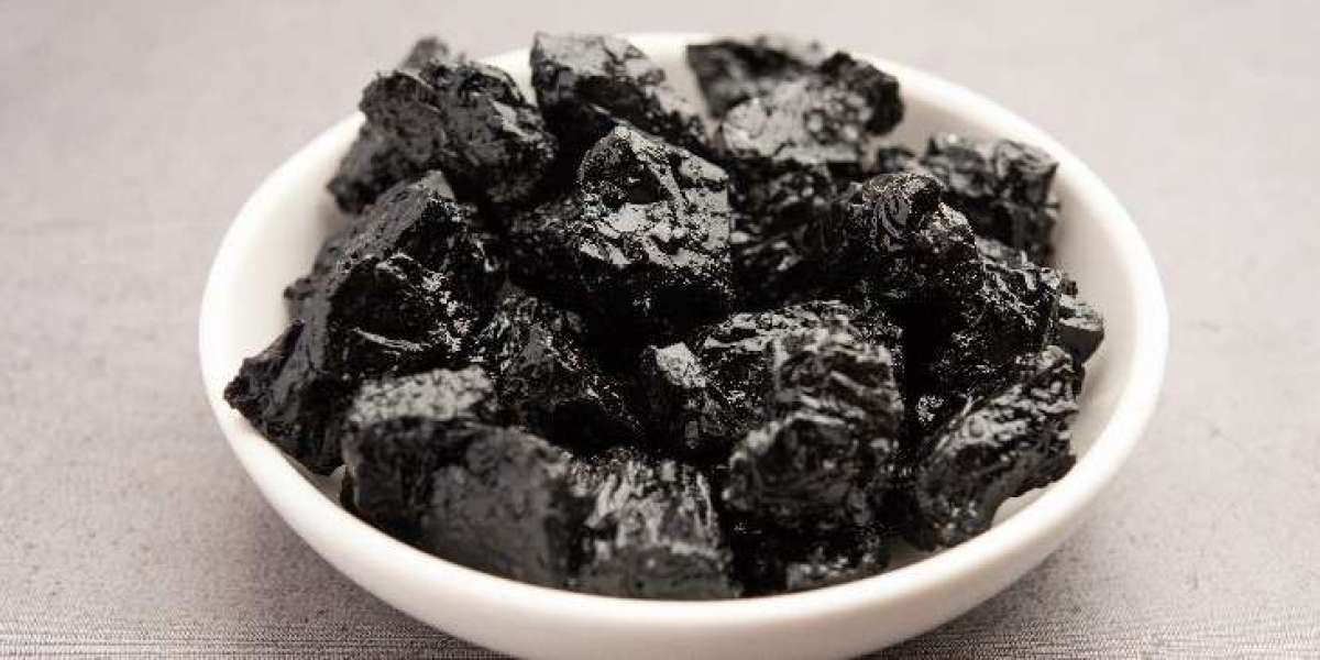 How to Incorporate Purely Natural Shilajit into Your Daily Routine