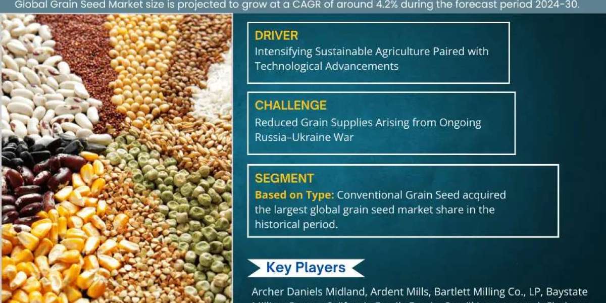 Grain Seed Market to Witness 4.2% CAGR Boom Through 2024-30 – Latest MarkNtel Advisors Report