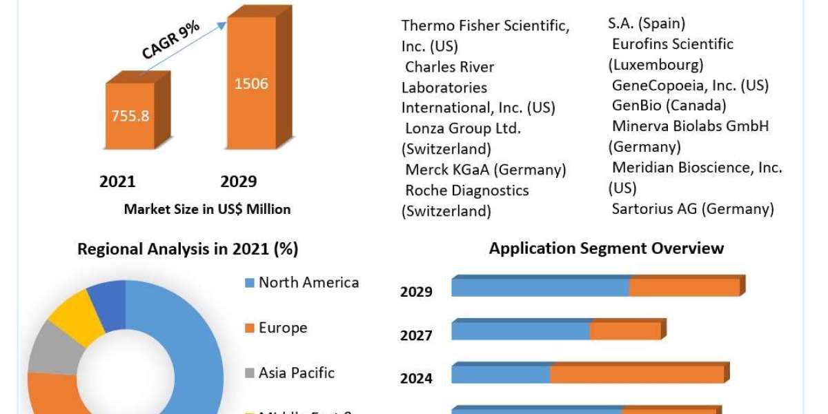 Mycoplasma Testing Market 2024 Industry Size, Share, Trend, Growth Opportunity, Regional Analysis by 2030