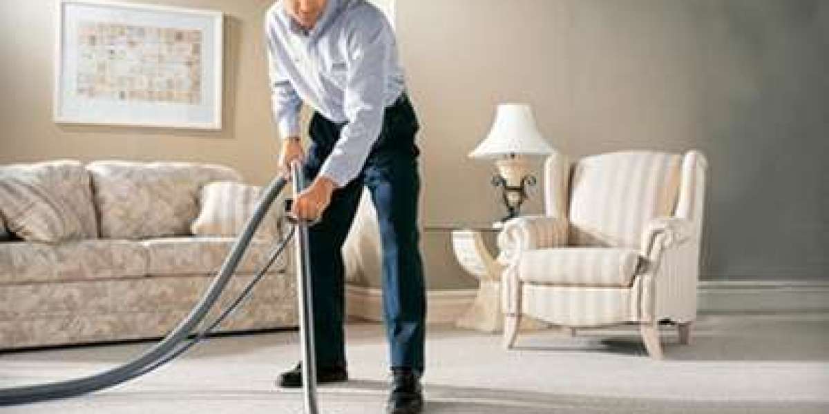 For Carpet Cleaning Services in Milton Trust Fresh Maple