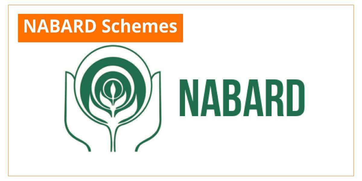 NABARD's Schemes and Programs: An In-Depth Guide