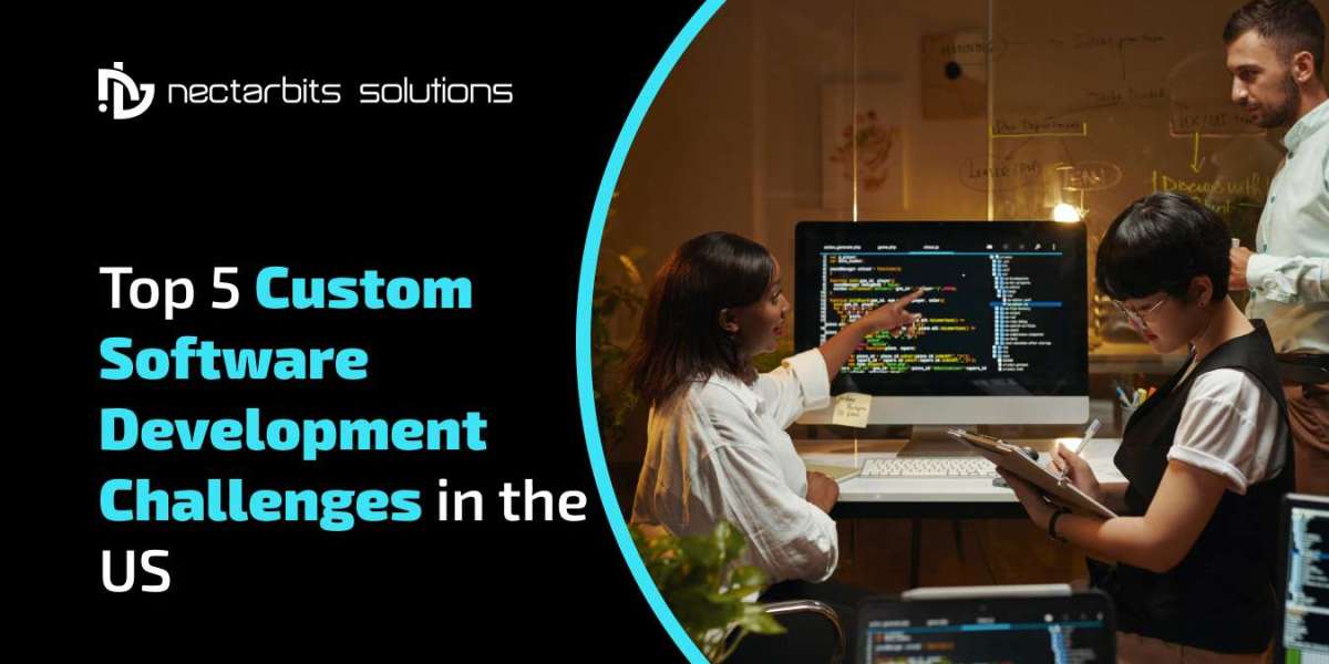 Top 5 Custom Software Development Challenges in the US