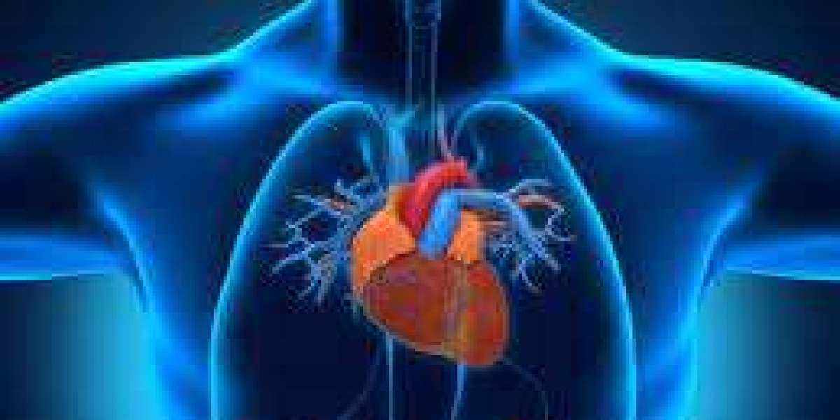 Beating Heart, Advanced Care: Interventional Cardiology in Chennai