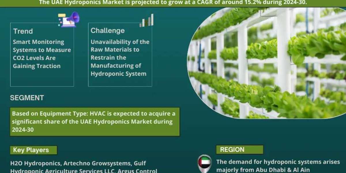 UAE Hydroponics Market Industry Top Players