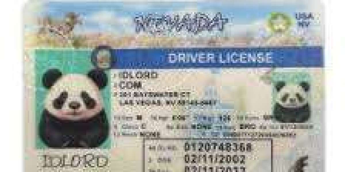 The Ultimate Guide to Buying the Best Fake ID Canada from IDLORD