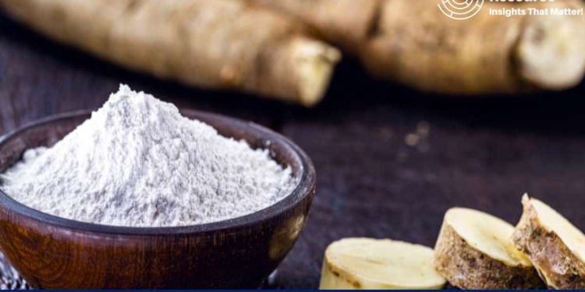 Native Starch Production Process with Cost Analysis: In-Depth Market Insights for Stakeholders