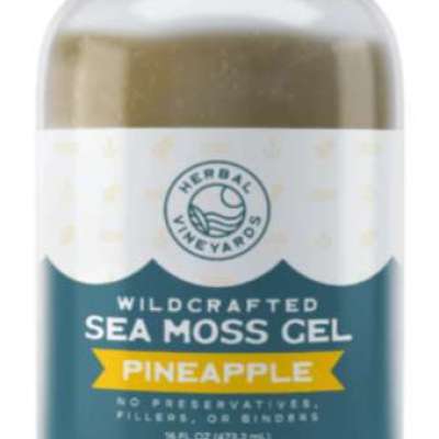 Revitalize Your Routine with Pineapple Sea Moss Gel Profile Picture