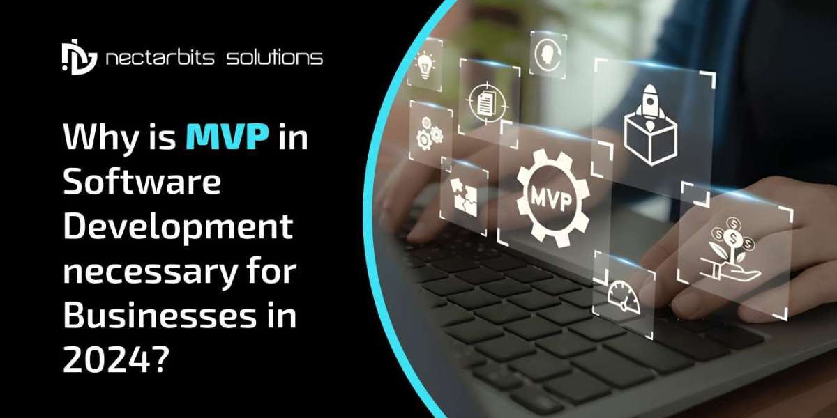 Why is MVP in Software Development necessary for Businesses in 2024?