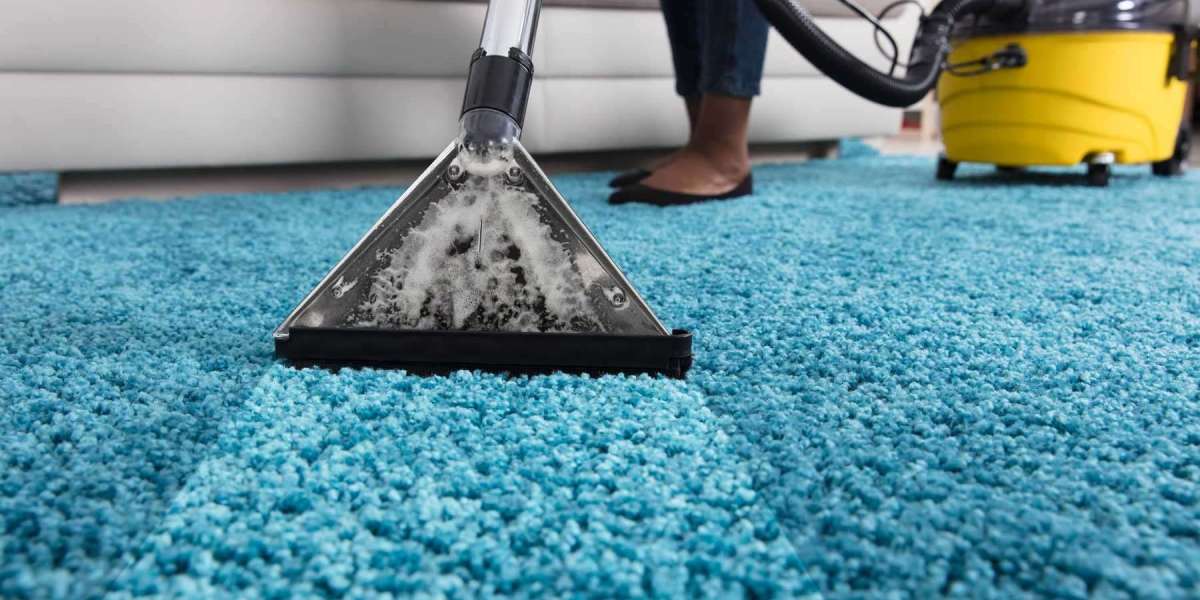 Professional Carpet Cleaning: A Necessity for All Residential Spaces