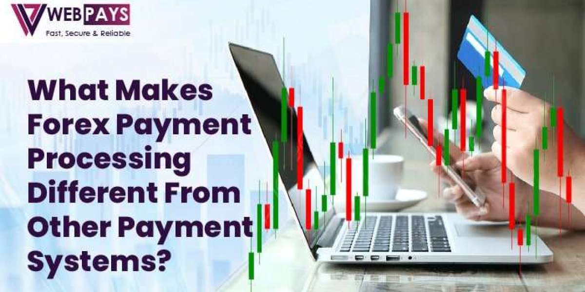 What Makes Forex Payment Processing Different from Other Payment Systems?