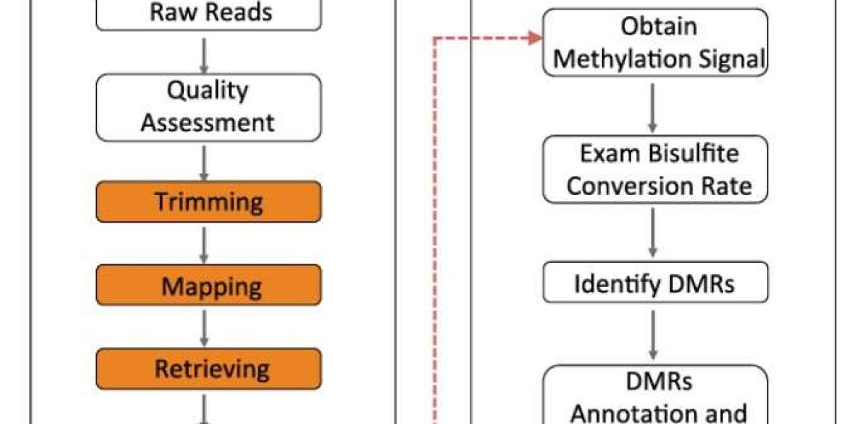 Overview of DNA Methylation Sequencing Methods