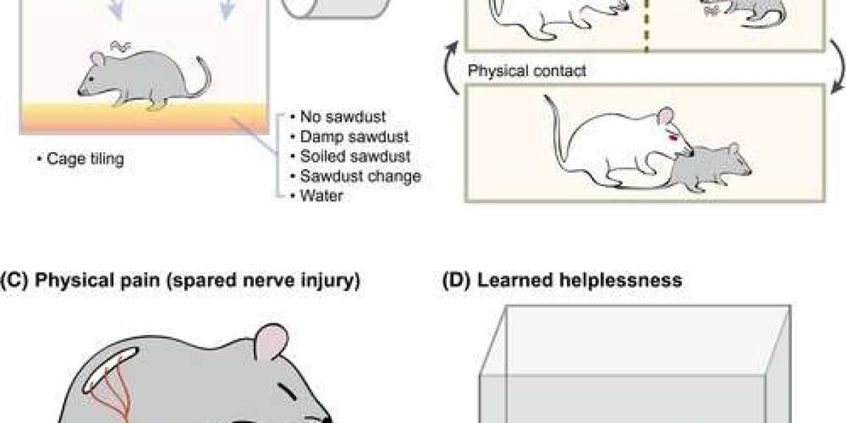 Model Development to Power Up Psychiatric Drug R&D