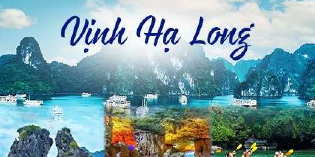 Tour xuyên việt HelloVietTravel giúp giới trẻ có những chuyến đi đầy tiện nghi