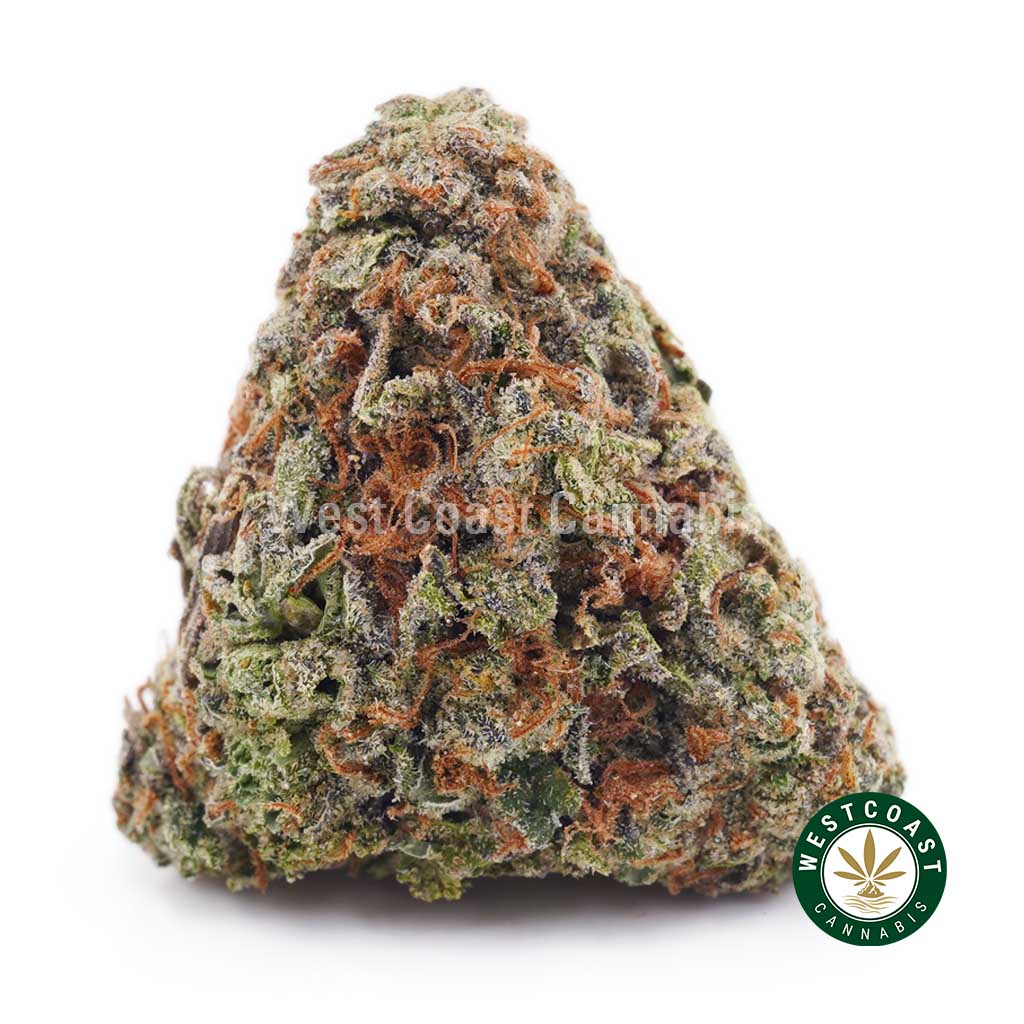 Buy Pineapple Express Strain Online - Pineapple Express AAA