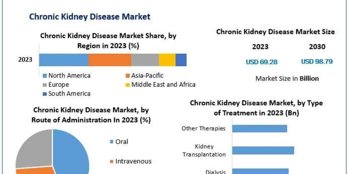 Chronic Kidney Disease Market 2024-2030 Segmentation and Regional Analysis