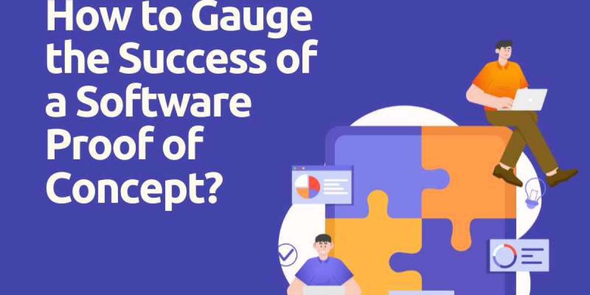 How to Gauge the Success of a Software Proof of Concept