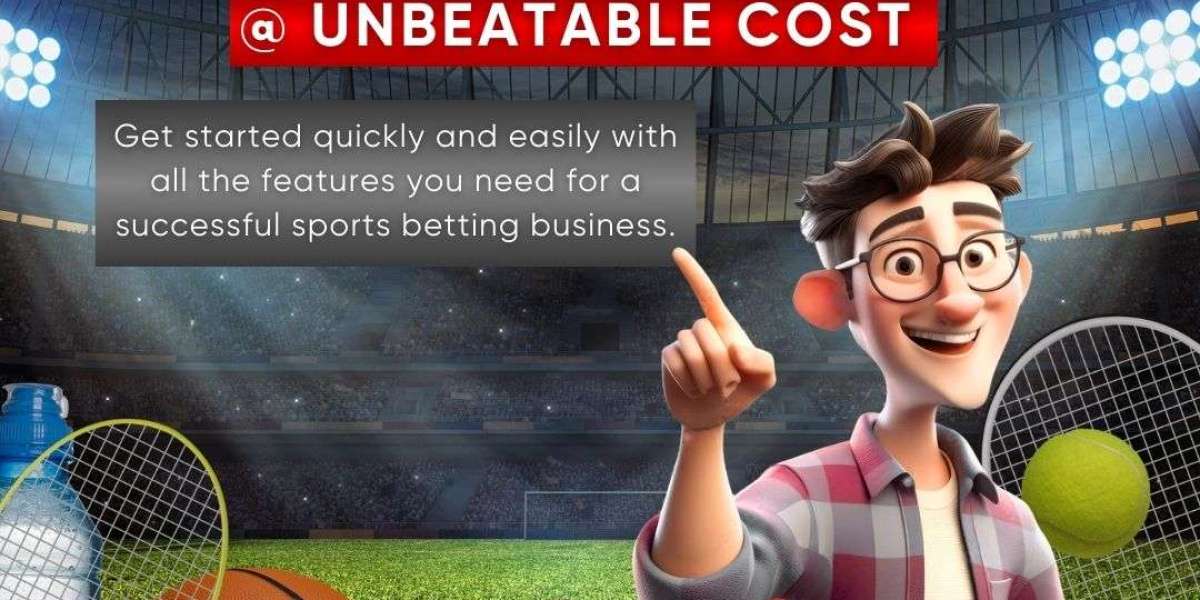 Minimize Investment with Our Affordable Bet365 Clone Solutions