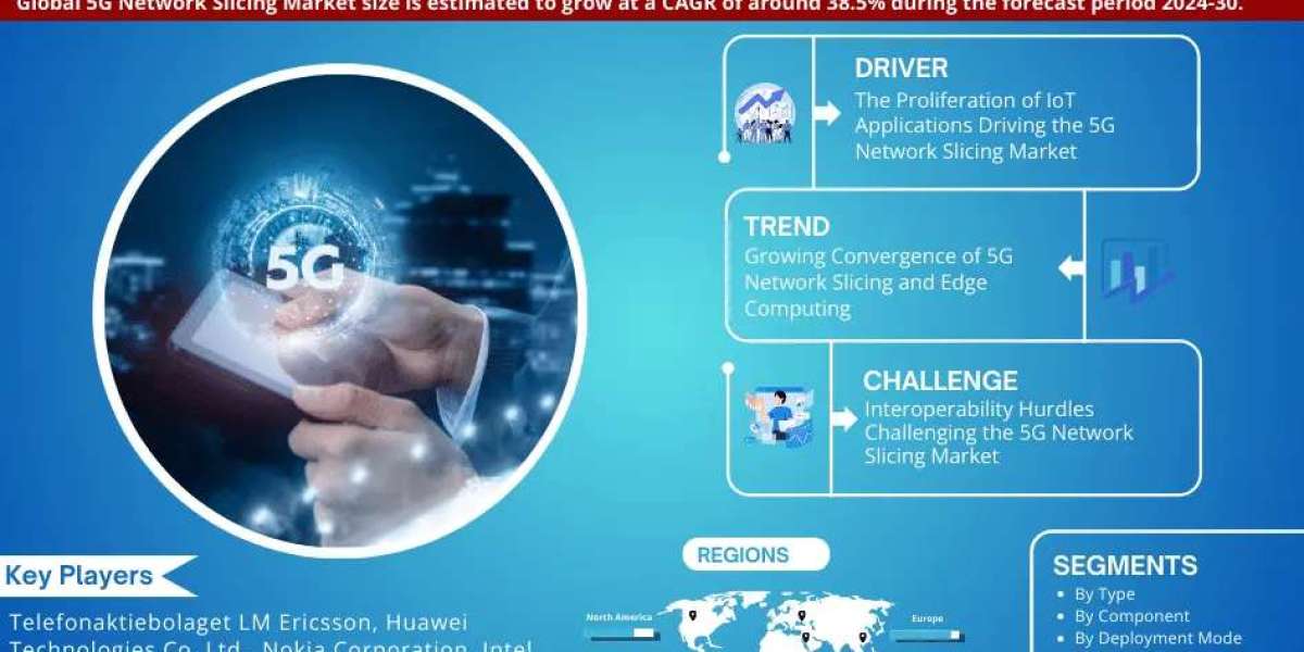 5G Network Slicing Market Size