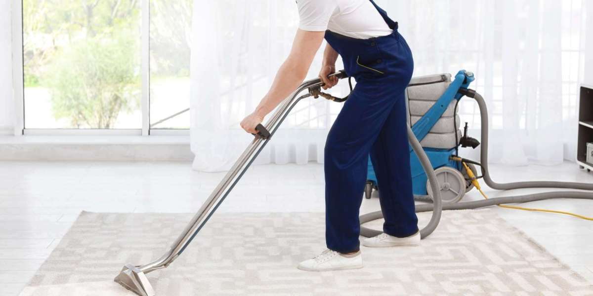 The Importance of Professional Carpet Cleaning for Home Wellness