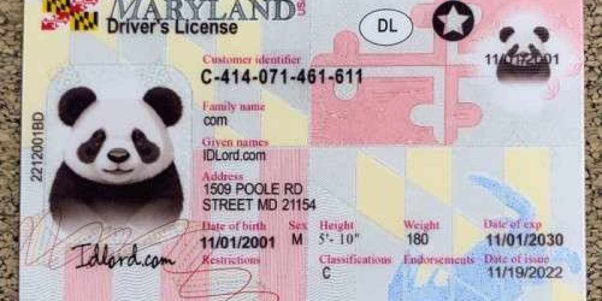 How to Craft a Realistic Maryland Driver's License Prop: A Step-by-Step Guide