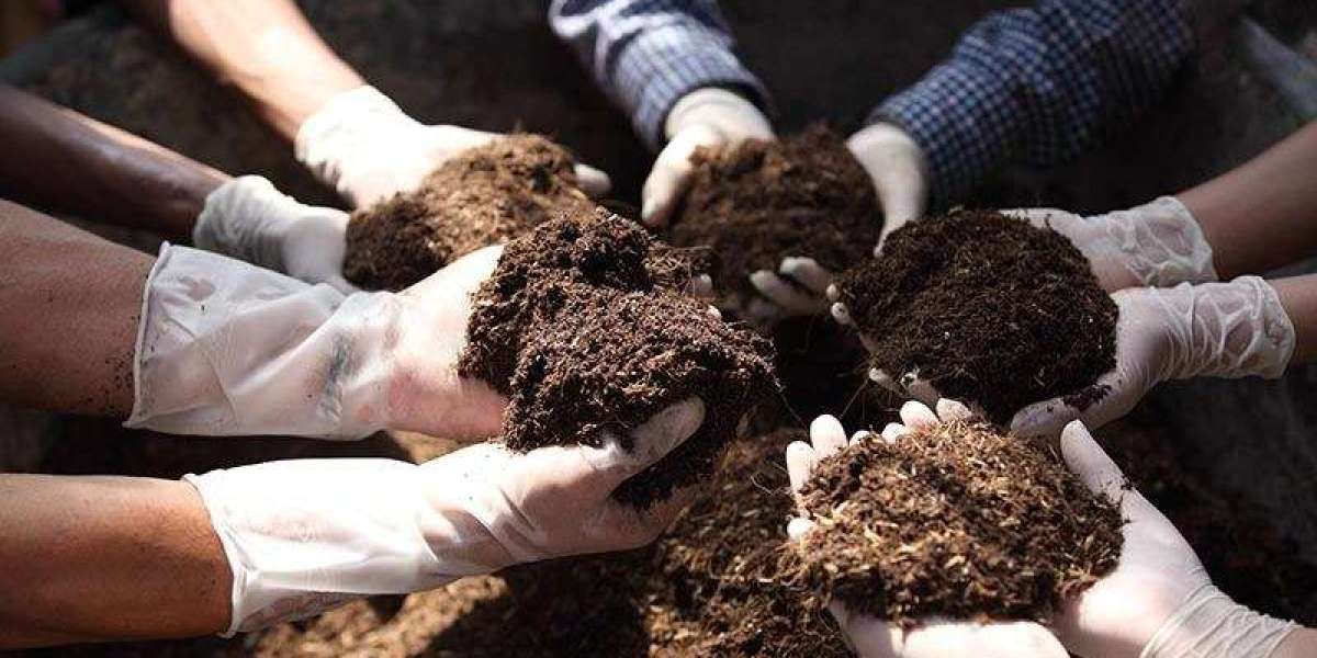 Guide to Setting Up an Organic Fertilizer Manufacturing Plant