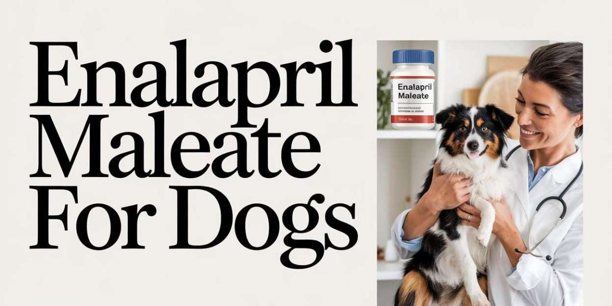 Enalapril Maleate: A Prescription for a Healthier Heart in Dogs