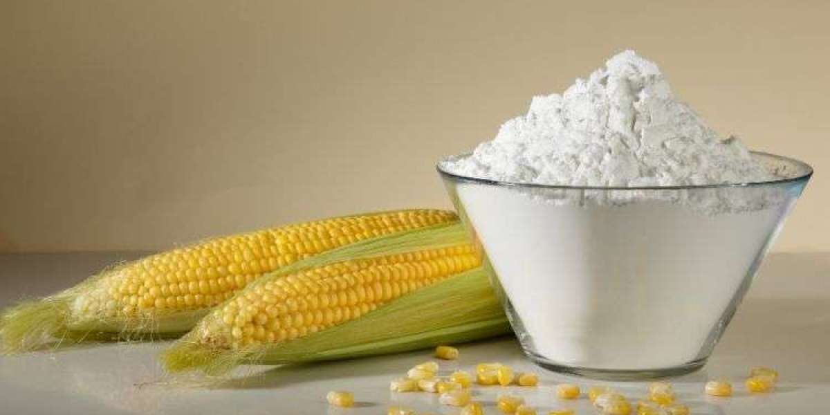 Corn Starch Market Size, Share, Growth, Analysis: 2024-2032