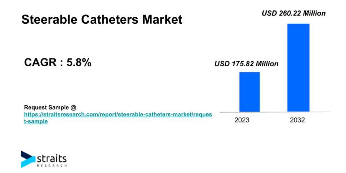 Steerable Catheters Market Growth & Demand | 2032