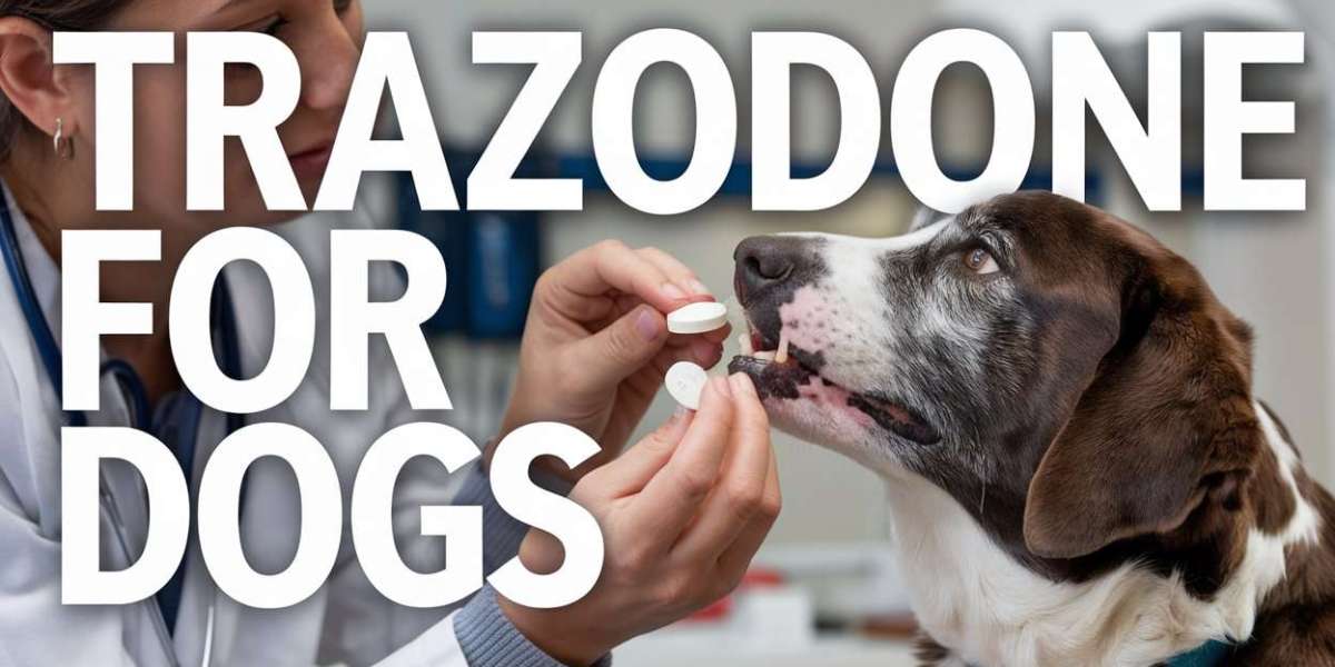 Trazodone for Dog Anxiety: A Natural Way to Calm Your Canine Companion