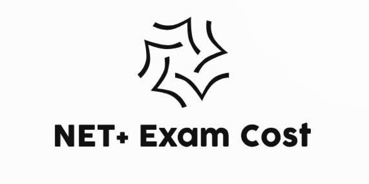 Lower Your NET+ Exam Cost: The Role of Exam Dumps