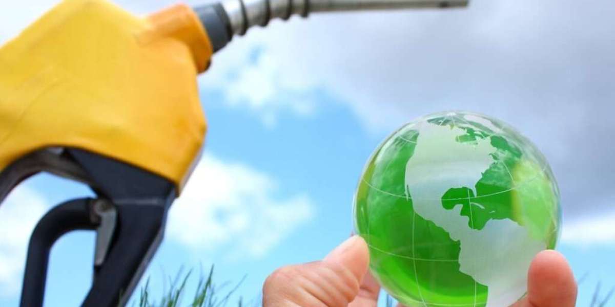 Establish a Profitable Biodiesel Manufacturing Plant