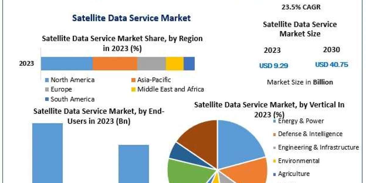 Satellite Data Service Market's Revenue to Quadruple by 2030 Amid 23.5% CAGR Expansion