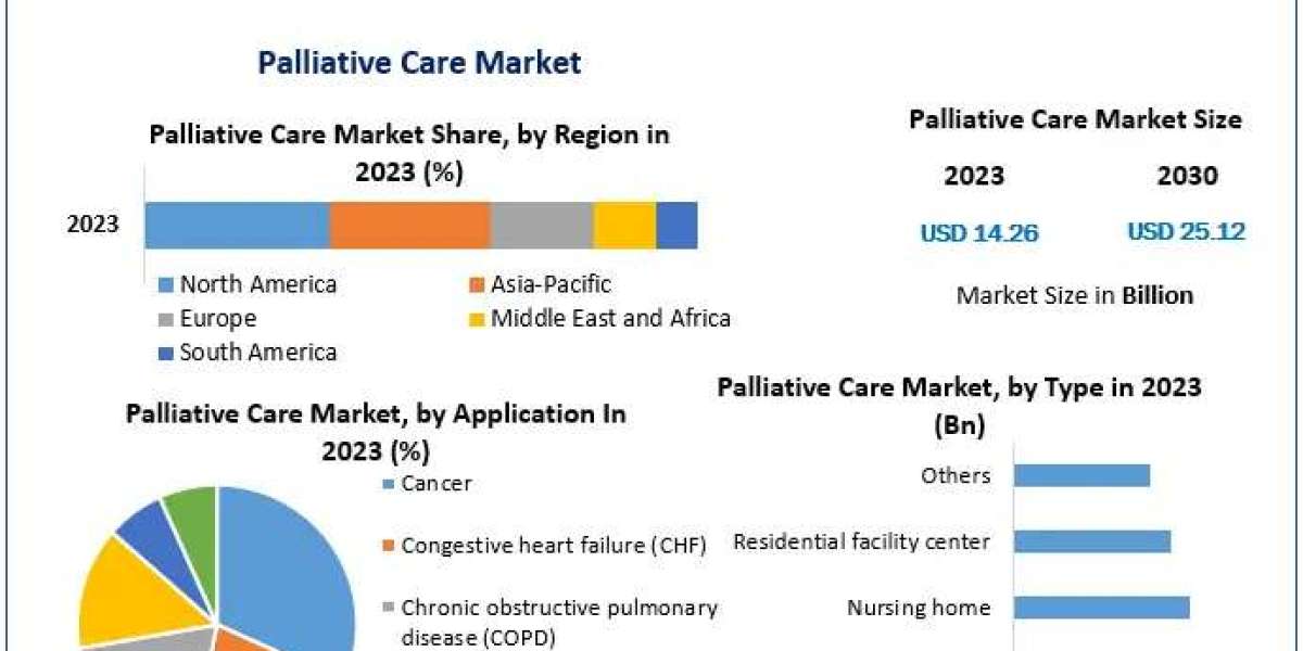 Palliative Care Market Paradigm Pioneers: Commercial Trends, Development Avenues, and Magnitude | 2024-2030