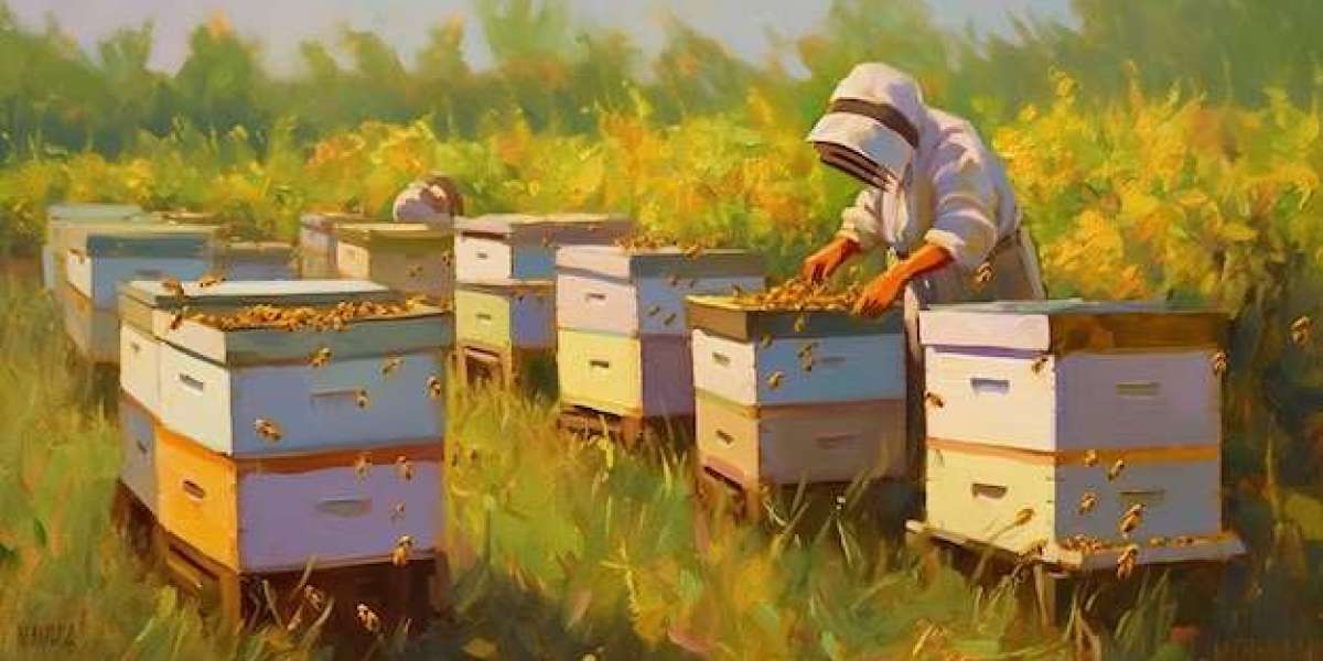 A Step-by-Step Guide to Painting Beehives for Maximum Protection