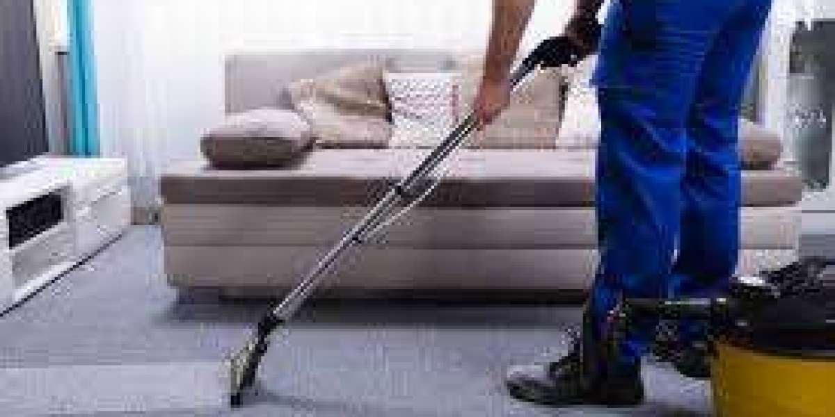 Professional Carpet Cleaning: A Simple Way to Enhance Home Aesthetics