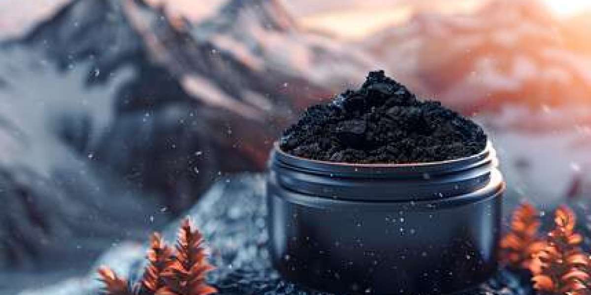 Himalayan Shilajit Nature's Secret to Boost Your Health & Wellness