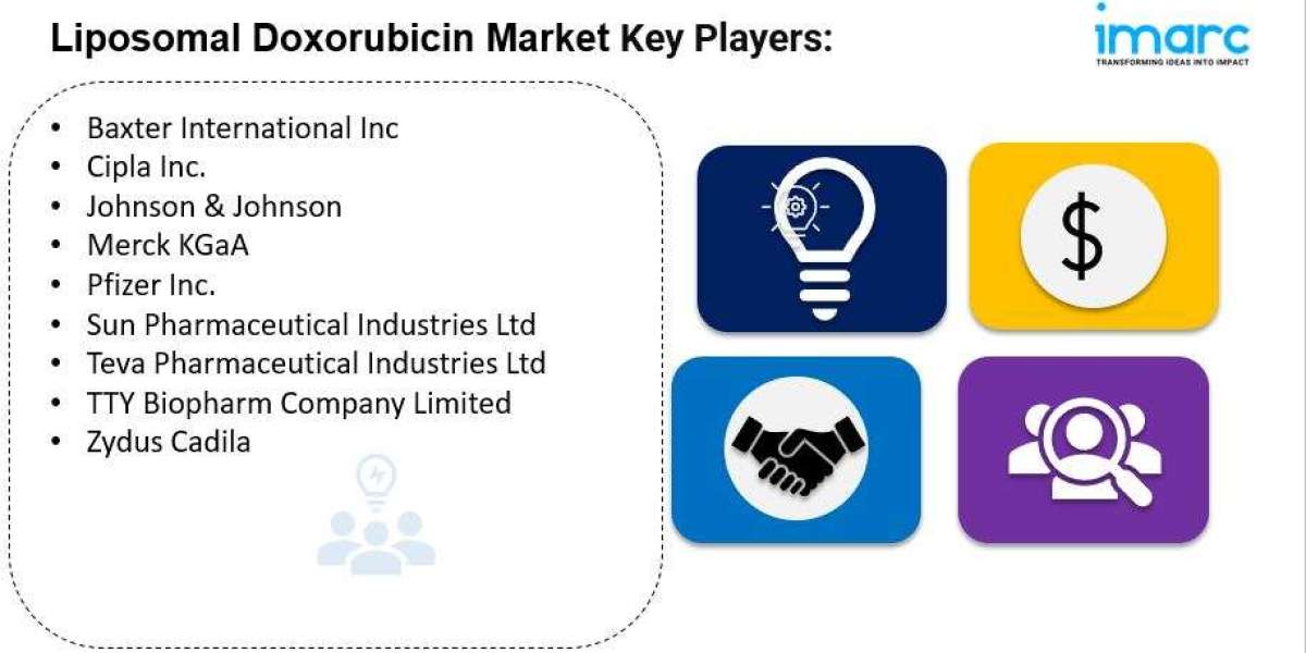 Liposomal Doxorubicin Market is Projected to Reach US$ 2.0 Billion by 2032 | CAGR of 5.1% during 2024-2032