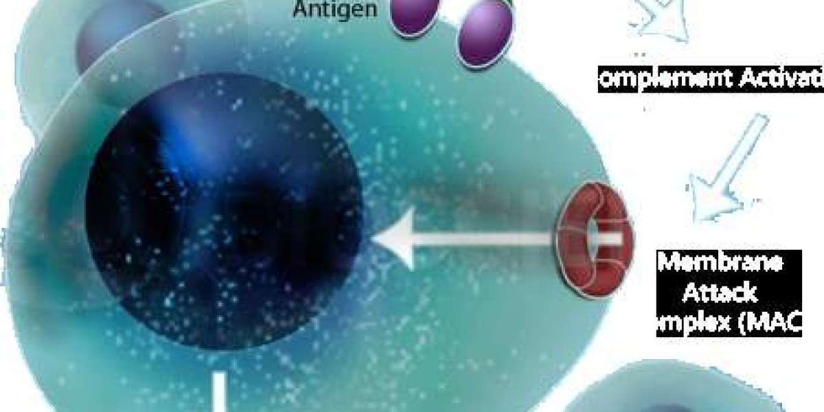 Uncovering the Potential of Bacterial and Fungal Polysaccharides