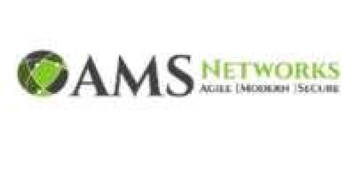 AMS Networks LLC: Your Trusted 8(a) Certified IT Solutions Partner