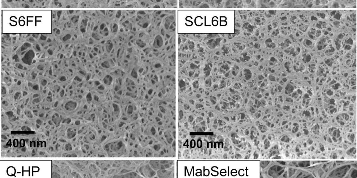 CD Bioparticles Announces Offering of Polystyrene Family Polymers for Drug Delivery