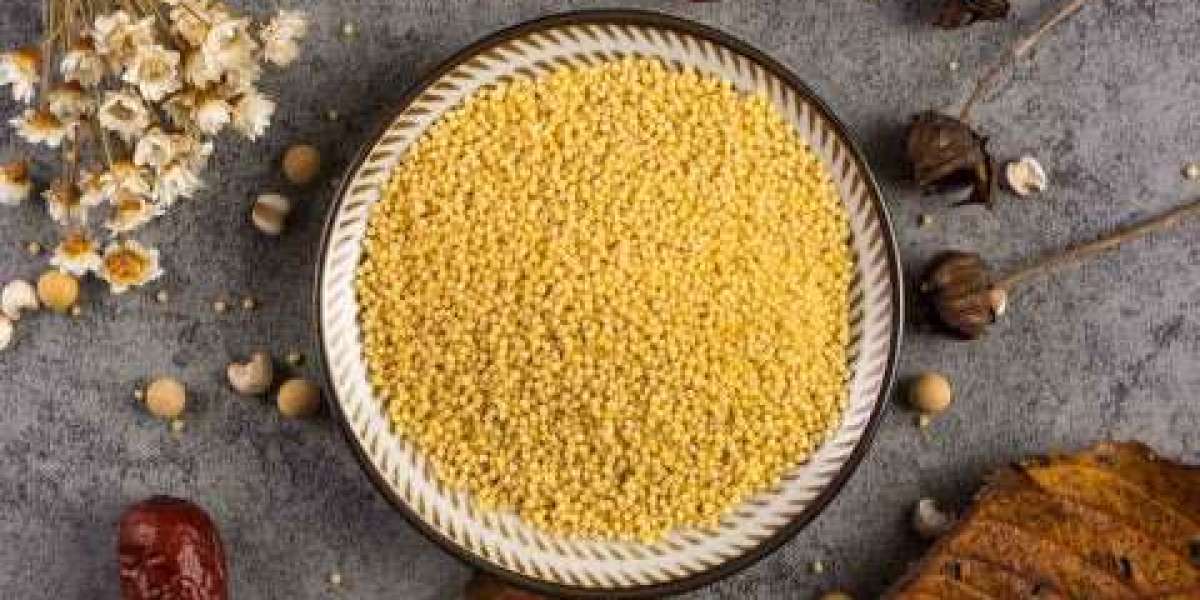 Millet Processing Plant Project Report 2024: Business Plan, Machinery and Investment Opportunities