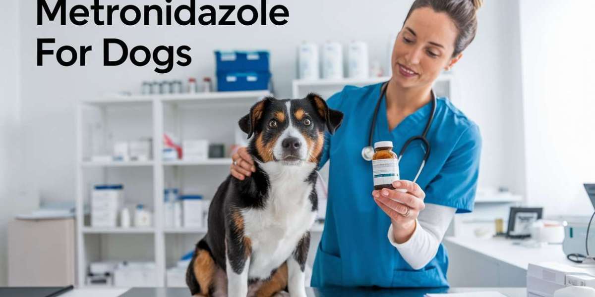 Understanding Metronidazole: A Guide for Dog Owners